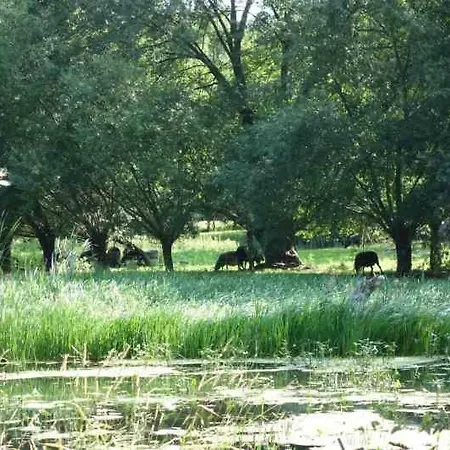 Fachwerkhaus Am Fluss Holiday home