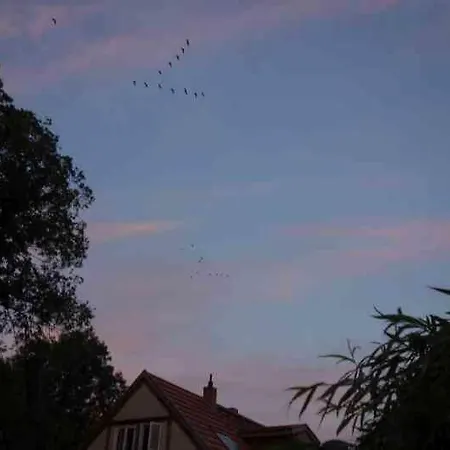 Fachwerkhaus Am Fluss Holiday home Neuhardenberg