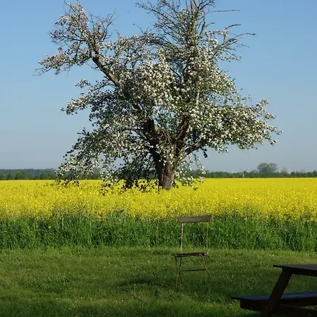 Holiday home Fachwerkhaus Am Fluss