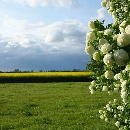 Holiday home Fachwerkhaus Am Fluss *