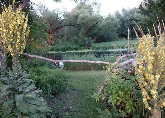 Fachwerkhaus Am Fluss