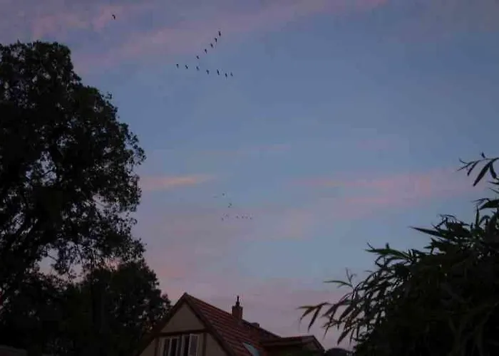 Fachwerkhaus Am Fluss Casa vacanze Neuhardenberg