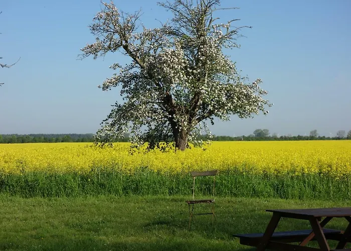 度假居 Fachwerkhaus Am Fluss