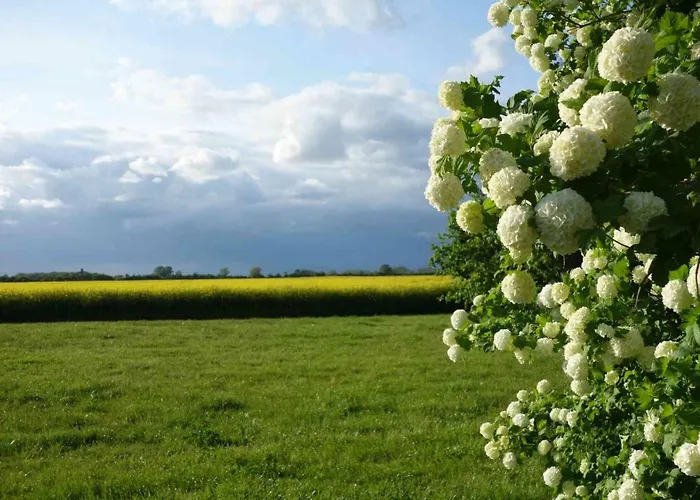 度假居 Fachwerkhaus Am Fluss *